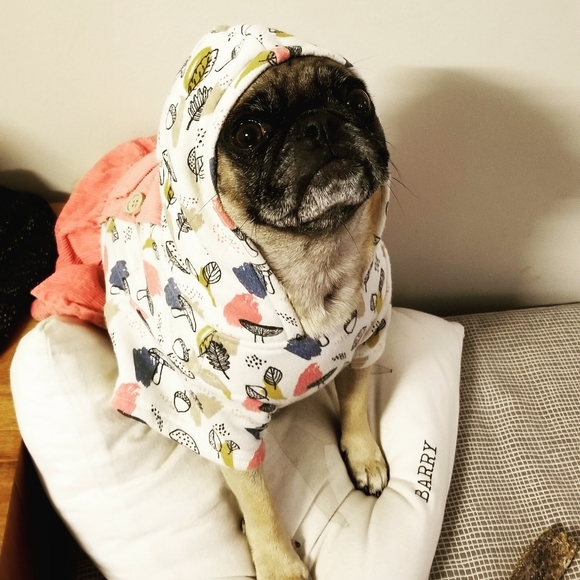 Meet your Poshers, Jessica & Penelope - Picture 2 of 5